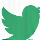Twitter icon